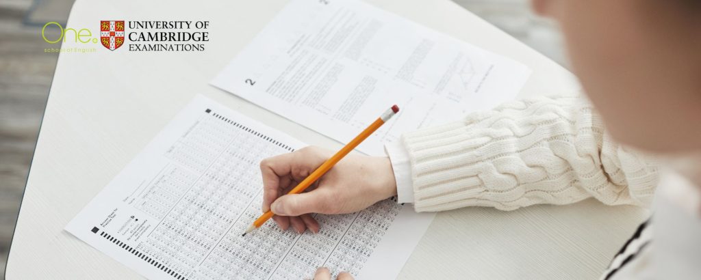 Cursos Intensius Estiu Exàmens Cambridge