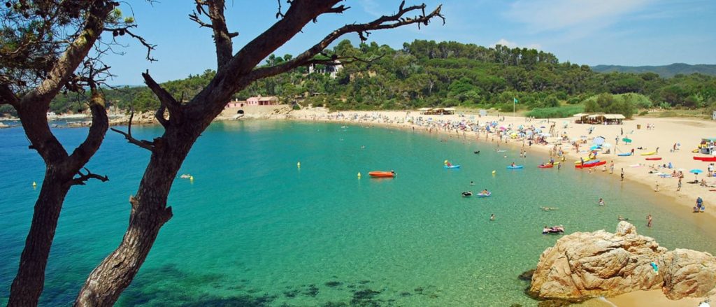 Colònies d’anglès a Palamós 2025
